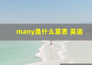 many是什么意思 英语